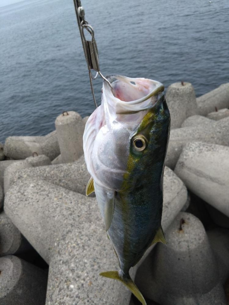 春シーズン終了間近？