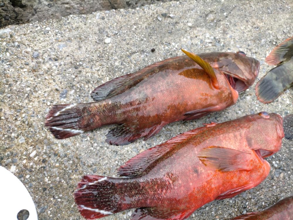 スプーンを投げまくる会