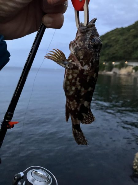 小潮の夕まずめに小1時間