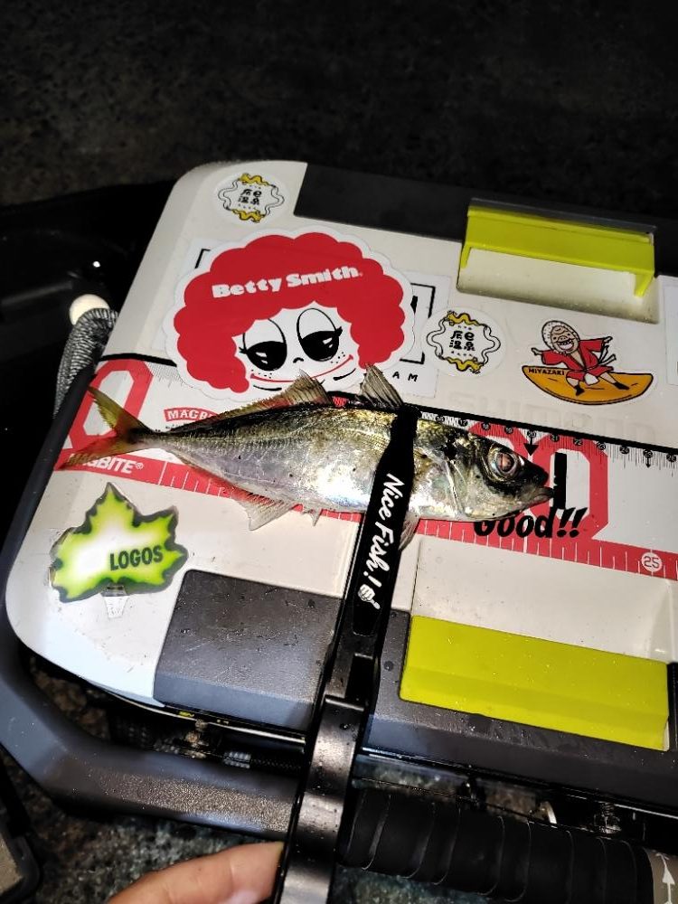 アジング@鹿児島垂水