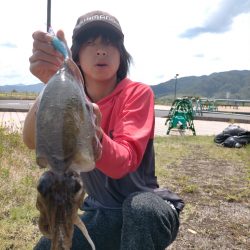 中型コウイカGET！