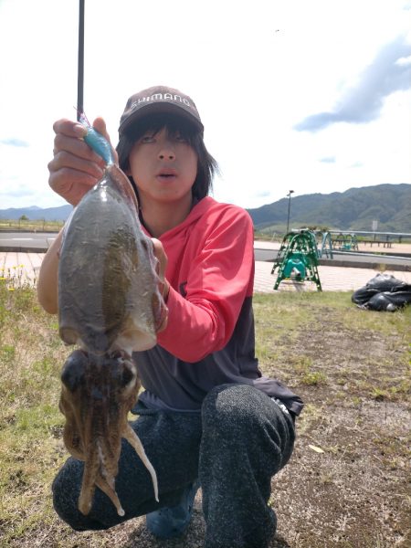 中型コウイカGET！