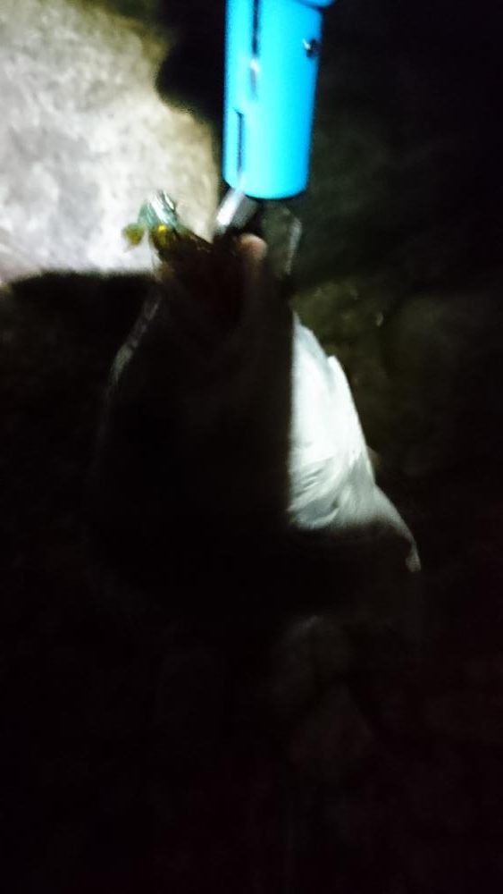 久しぶりの釣り