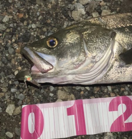 ががっときました。