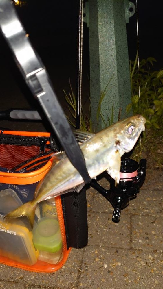 新いた水汲みバケツ