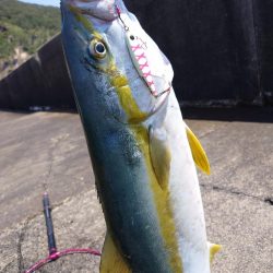 隠岐の島 ショアジギング!
