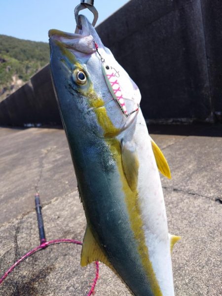 隠岐の島　ショアジギング！