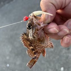 久々にガッシー