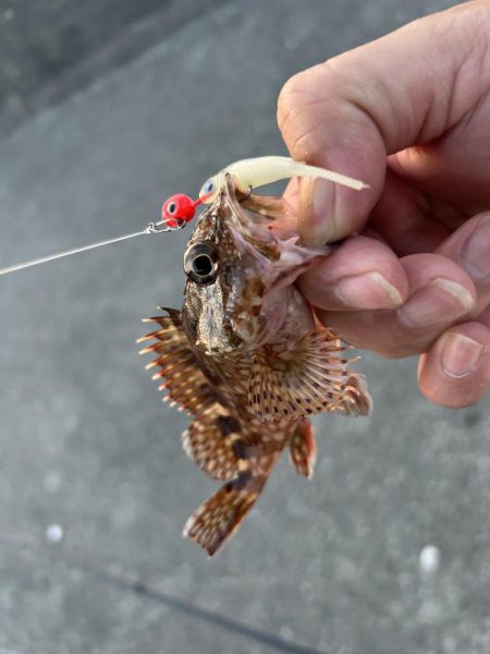 久々にガッシー