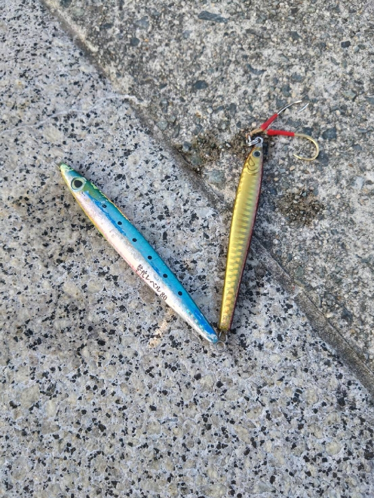 カンパチ痛恨のバラし…ハマチリリースサイズのみ