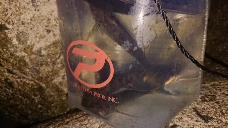 ライトゲームでひまつぶし