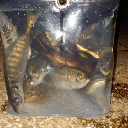 いつもとは違う