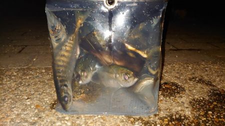 いつもとは違う