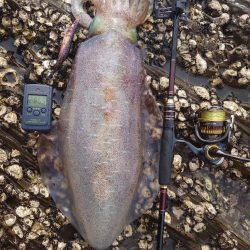 春爆エギングIN対馬