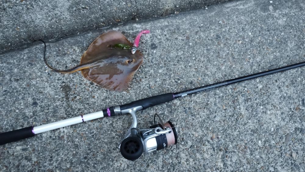 強風で少しだけ