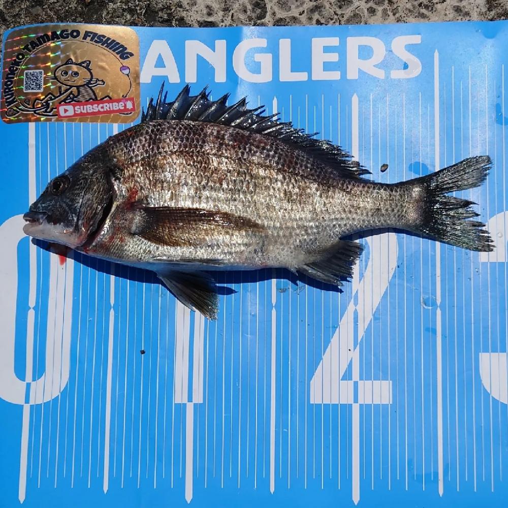 遠矢浮き✨初釣行🙋今期第2戦💦