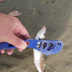 今年は激アツか！？