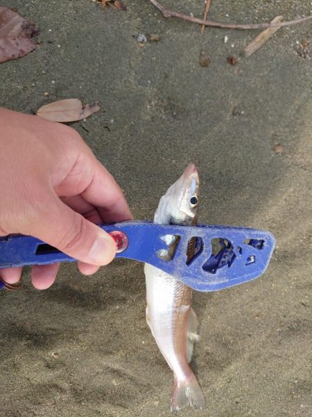 今年は激アツか！？