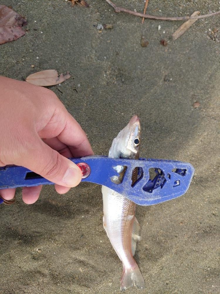 今年は激アツか！？