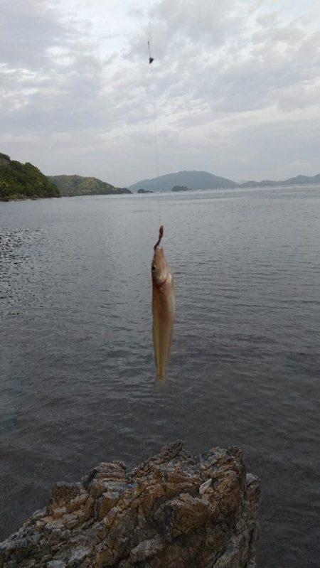 キス釣り～本番？