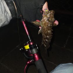 旅先でガシリング