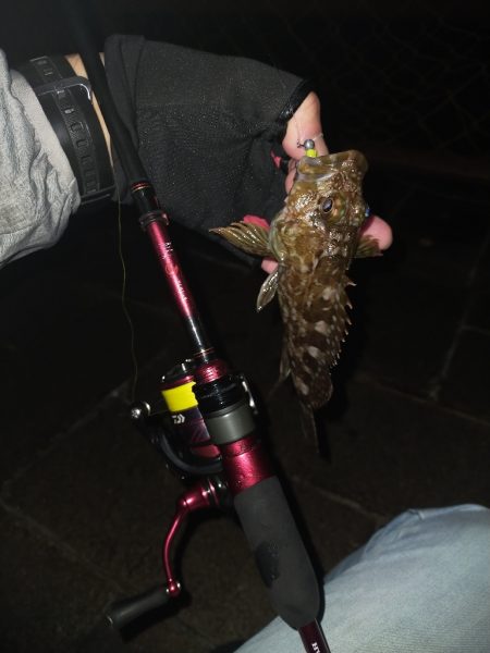 旅先でガシリング