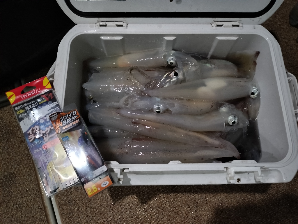 シロイカシーズン初挑戦☆