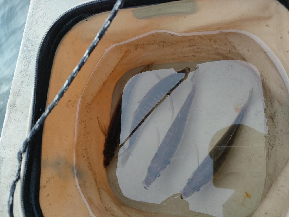 苦しい時間を乗り越えて