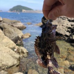 ふら〜っと釣り