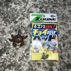 小潮の夕まずめに小1時間２日目