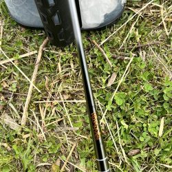 テナガエビ調査