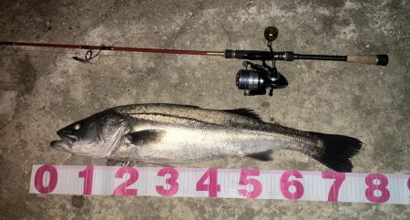 やられたらやり返す倍返しや！！