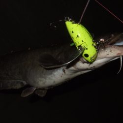 ポイントが絞り辛い