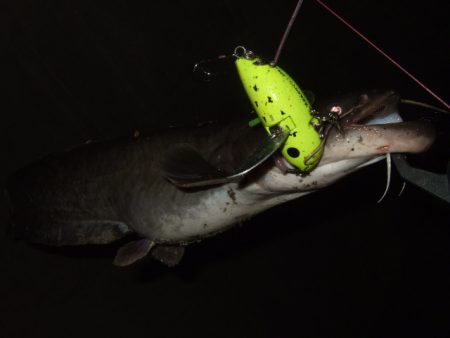 ポイントが絞り辛い