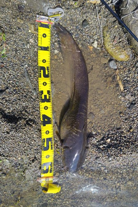 川バス狙い打ち