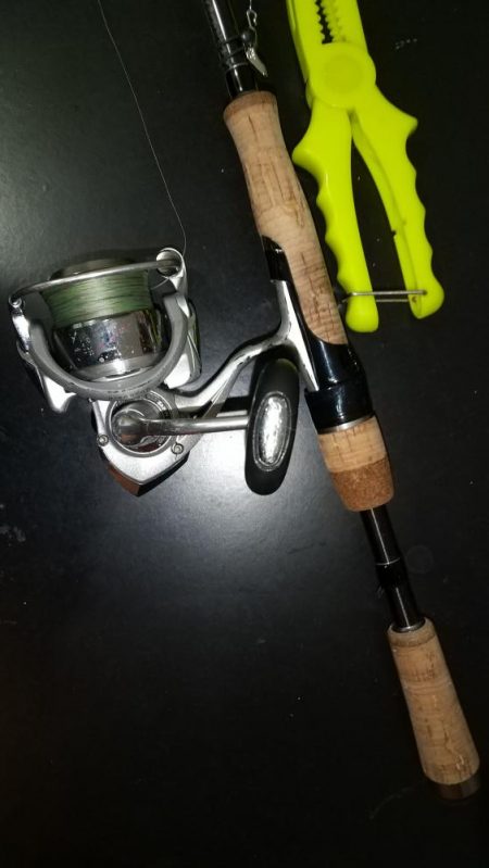 予定外のカマスが釣れました。