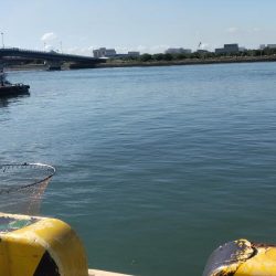 まぁまぁのサイズ