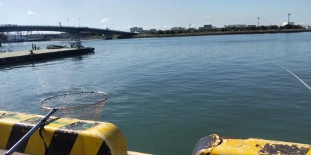 まぁまぁのサイズ