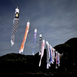 やっとここのロッドでアジ釣れました5