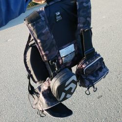 エソが釣れました