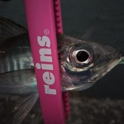 ずぶ濡れになりながら…