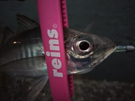 ずぶ濡れになりながら…