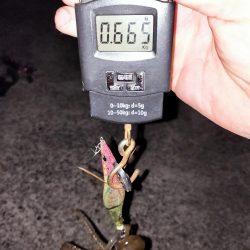 キロには届かず