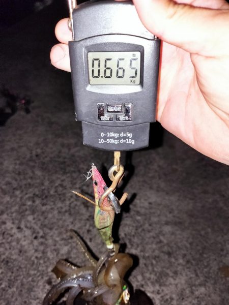 キロには届かず