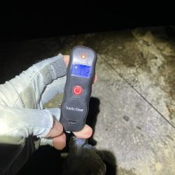 何年振りかの春イカ