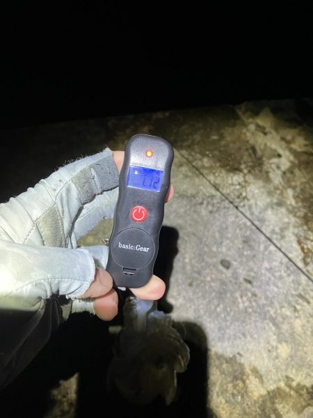 何年振りかの春イカ