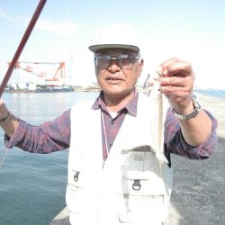 播磨新島のキス情報