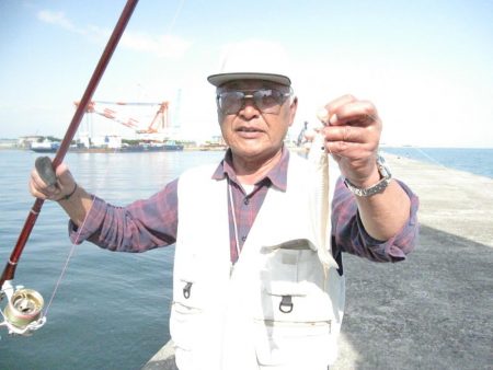 播磨新島のキス情報