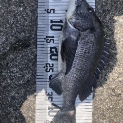 イチノ兄弟（兄）釣果！