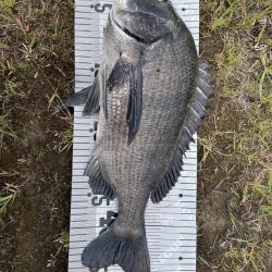 イチノ兄弟（兄）釣果！